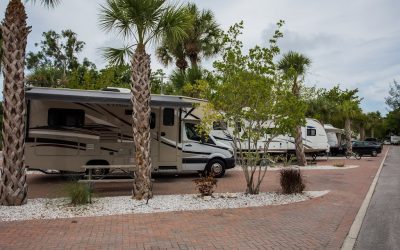 A Newbie’s Guide To Different Types Of Motor Homes